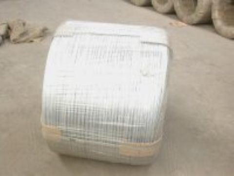 Hot Dipped Galvanized Wire 